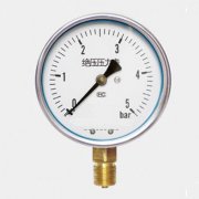 絕壓壓力表